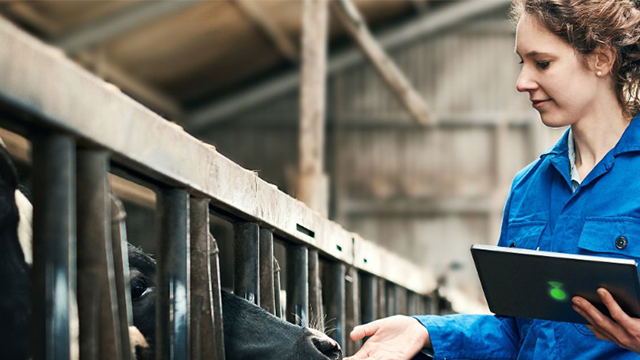 交流外转子轴流风机